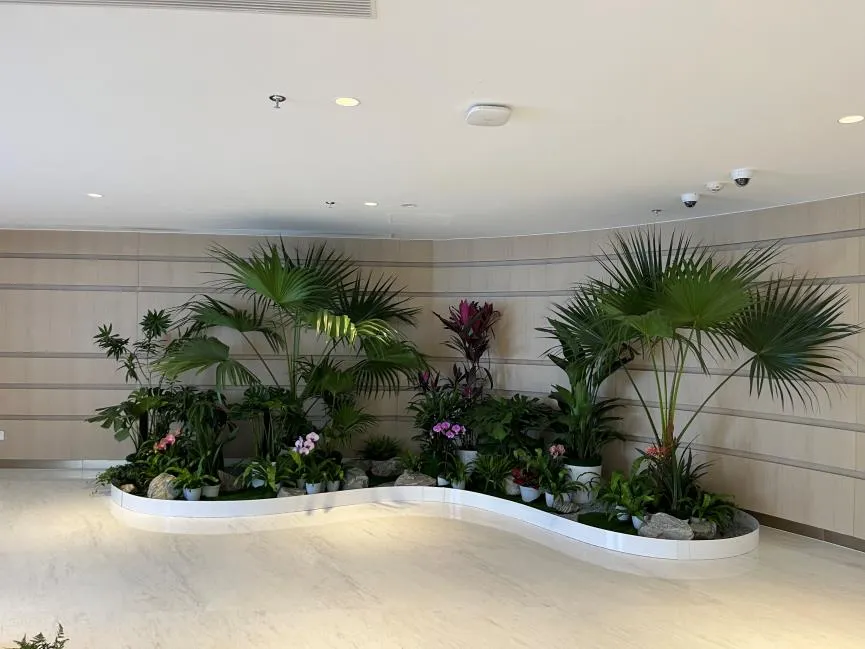 宁波花卉出租价格怎么样？答案在此！