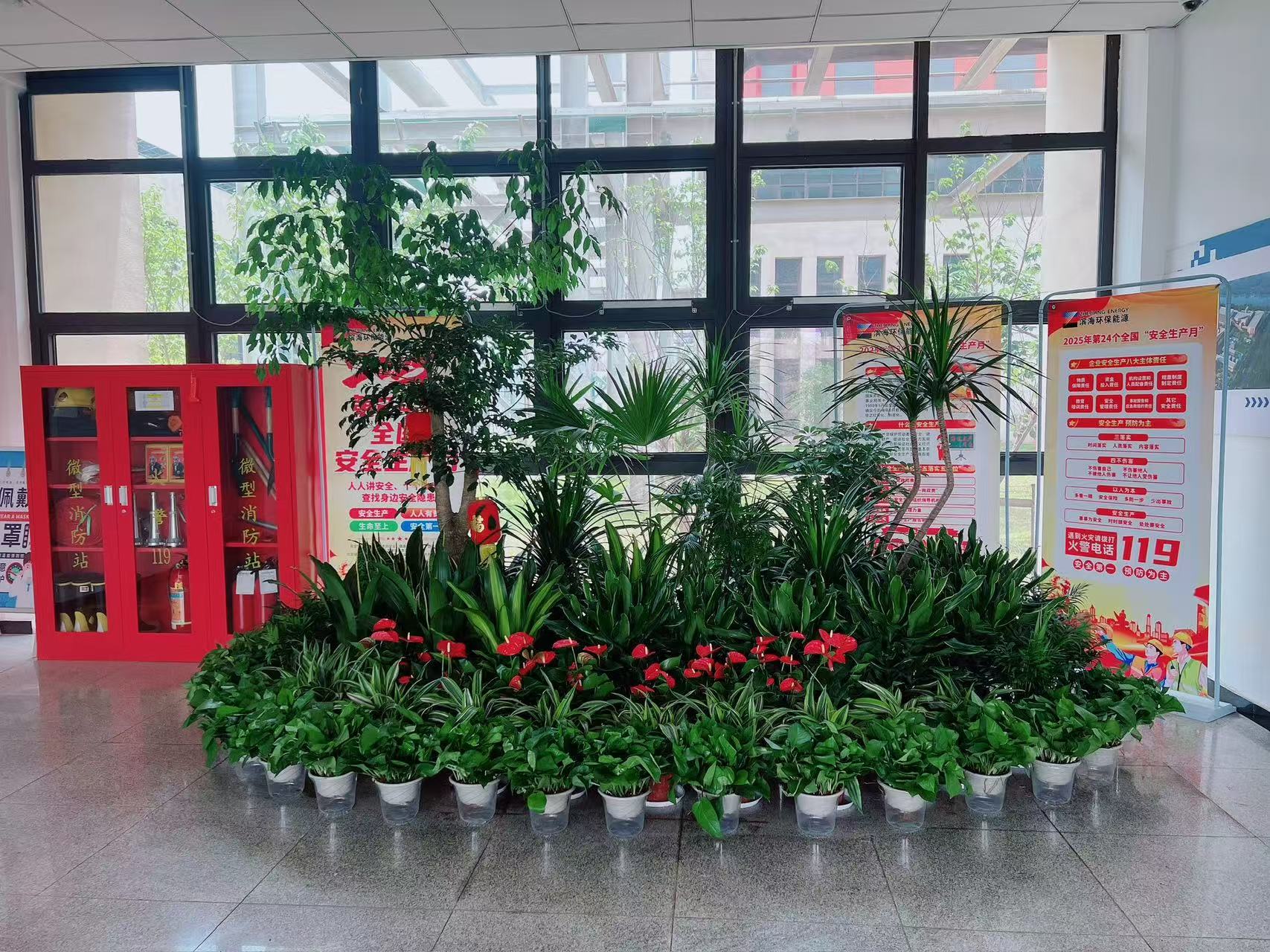 镇海花木出租哪家好